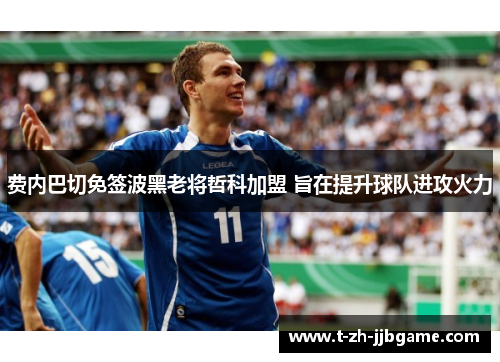 费内巴切免签波黑老将哲科加盟 旨在提升球队进攻火力