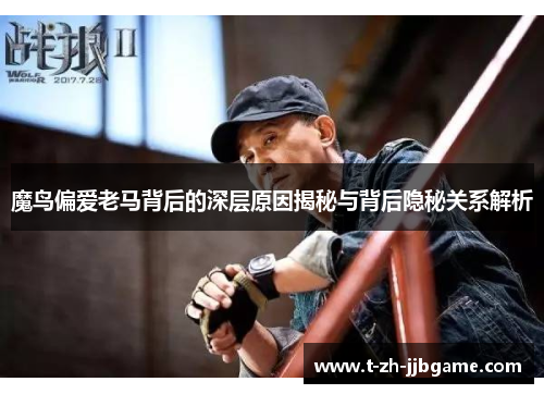 魔鸟偏爱老马背后的深层原因揭秘与背后隐秘关系解析
