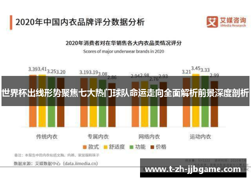 世界杯出线形势聚焦七大热门球队命运走向全面解析前景深度剖析